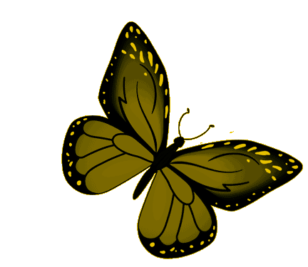 Butterfly Yellow